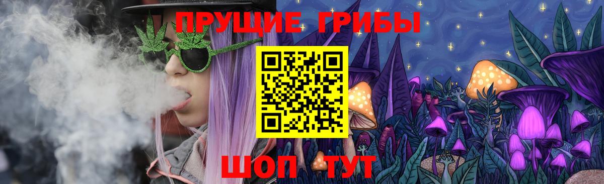 Псилоцибиновые грибы мухоморы  Вход с VPN  даркнет сайт  Сургут  Псилоцибиновые грибы Cubensis 
