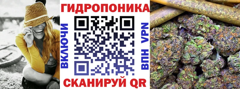МАРИХУАНА сатива Сургут