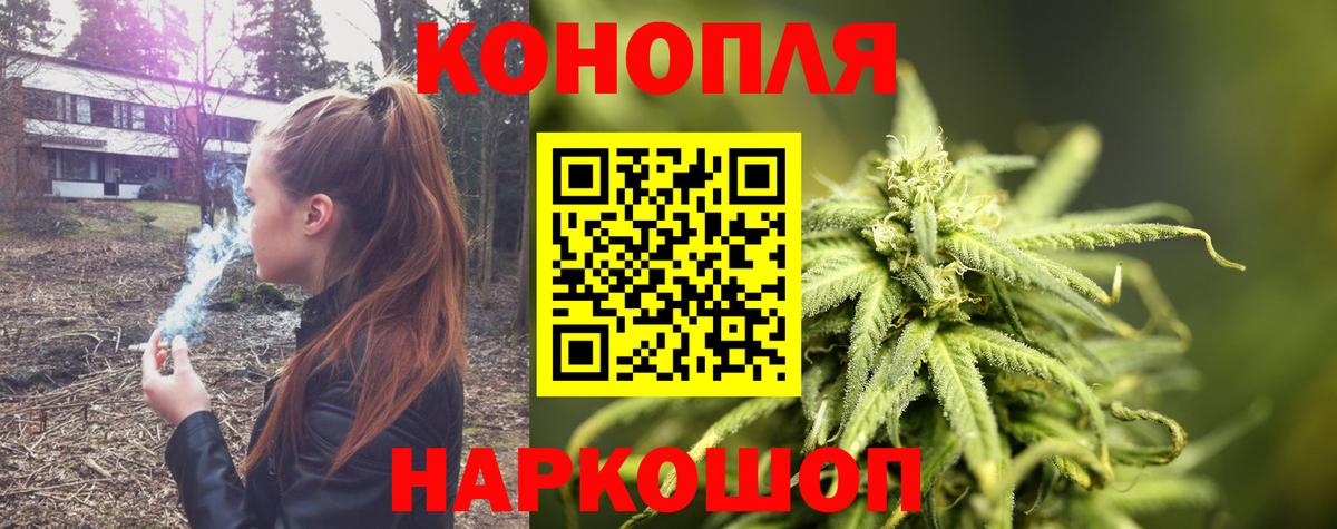 Каннабис план  МАРИХУАНА White Widow  Вход с VPN  Сургут 